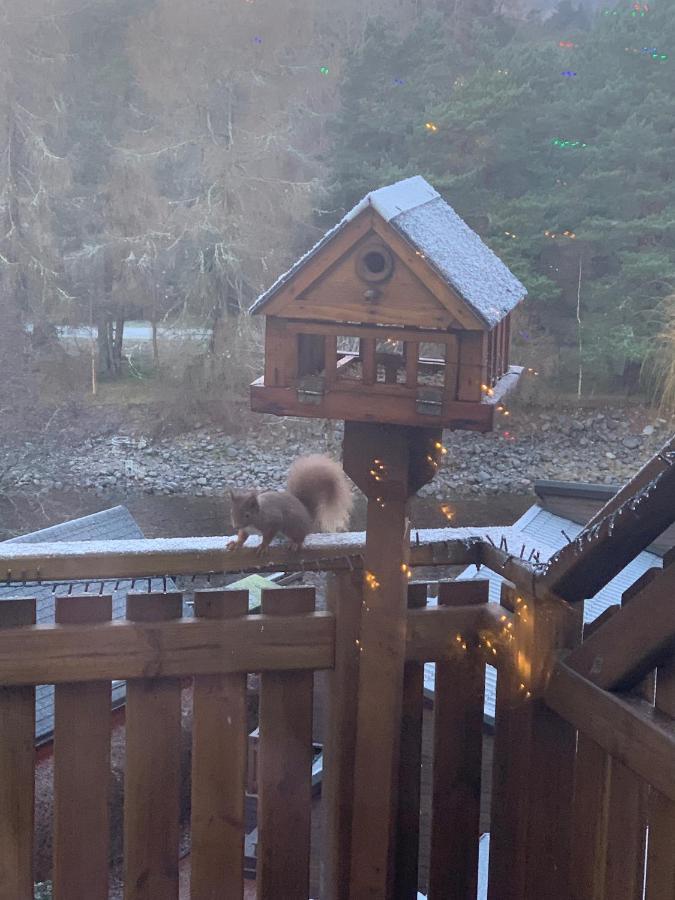 Beautiful 2 Bedroom Lodge With Stunning Views Blair Atholl Exterior photo